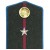 Офицеры, полевые погоны. Командный состав.